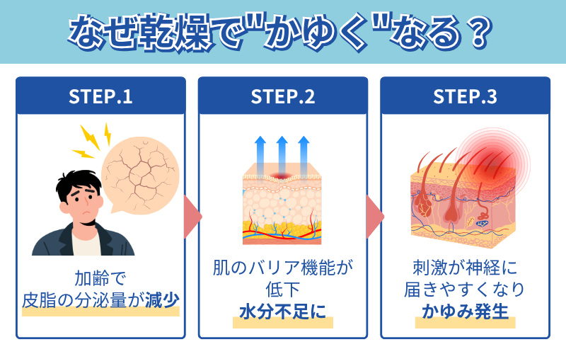 乾燥によるかゆみのメカニズム